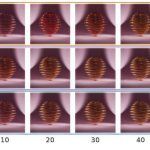 2023 SA_Technical_Papers_Balint_Joint Sampling and Optimisation for Inverse Rendering