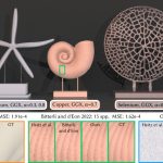2023 SA_Technical_Papers_Cui_Multiple-bounce Smith Microfacet BRDFs using the Invariance Principle