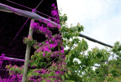 2023 SA_Technical_Papers_Franke_VET_Visual Error Tomography for Point Cloud Completion and High-Quality Neural Rendering