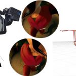 2023 SA_Technical_Papers_Kang_Ego3DPose_Capturing 3D Cues from Binocular Egocentric Views