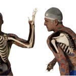 2023 SA_Technical_Papers_Keller_From Skin to Skeleton_Towards Biomechanically Accurate 3D Digital Humans