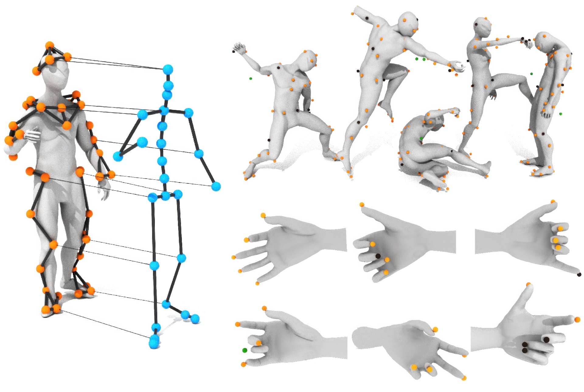 2023 SA_Technical_Papers_Pan_A Locality-based Neural Solver for Optical Motion Capture