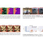 2023 SA_Technical_Papers_Somraj_SimpleNeRF_Regularizing Sparse Input Neural Radiance Fields with Simpler Solutions