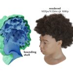 2023 SA_Technical_Papers_Wang_Adaptive Shells for Efficient Neural Radiance Field Rendering