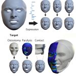 2023 SA_Technical_Papers_Yang_An Implicit Physical Face Model Driven by Expression and Style