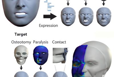 2023 SA_Technical_Papers_Yang_An Implicit Physical Face Model Driven by Expression and Style