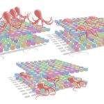 2023 SA_Technical_Papers_Zesch_Neural Collision Fields for Triangle Primitives