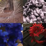 2008 SA Animation Takahashi_Renkan