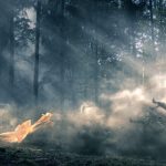 2015_SA_Animations_Goenueltas_Jagon