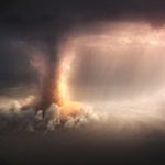 2015_SA_Animations_Zimmermann_Natural Attraction