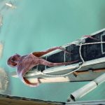 2016_SA_Animations_Cunningham_Accidents, Blunders And Calamities