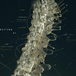 2016_SA_Animations_Zeng_Organic Machines