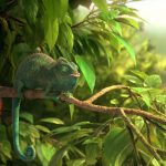 2017 Animation Eshed_Our Wonderful Nature-The Common Chameleon