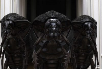 2017 SA Animation Chauvet_Resistance_1