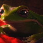 2017 SA Animation Dufresne_Garden Party