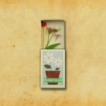 2019_SA_Animations_Makino_Baloney Speaker (Sasanomaly)