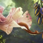 2019_SA_Animations_Muller_Ratatoskr