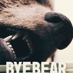 2023 SA_Animation: Bitzer_Bye Bear_01