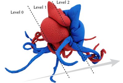2025 Course_Zhang_Level-of-Detail for Geometry Processing and Simulation