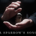 2025 Educator Forums_Maurer_A Sparrow Song_Balancing Art and Innovation for an Economic CG Production