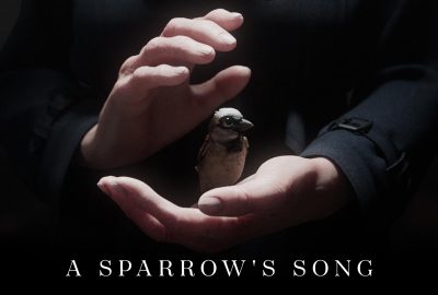 2025 Educator Forums_Maurer_A Sparrow Song_Balancing Art and Innovation for an Economic CG Production