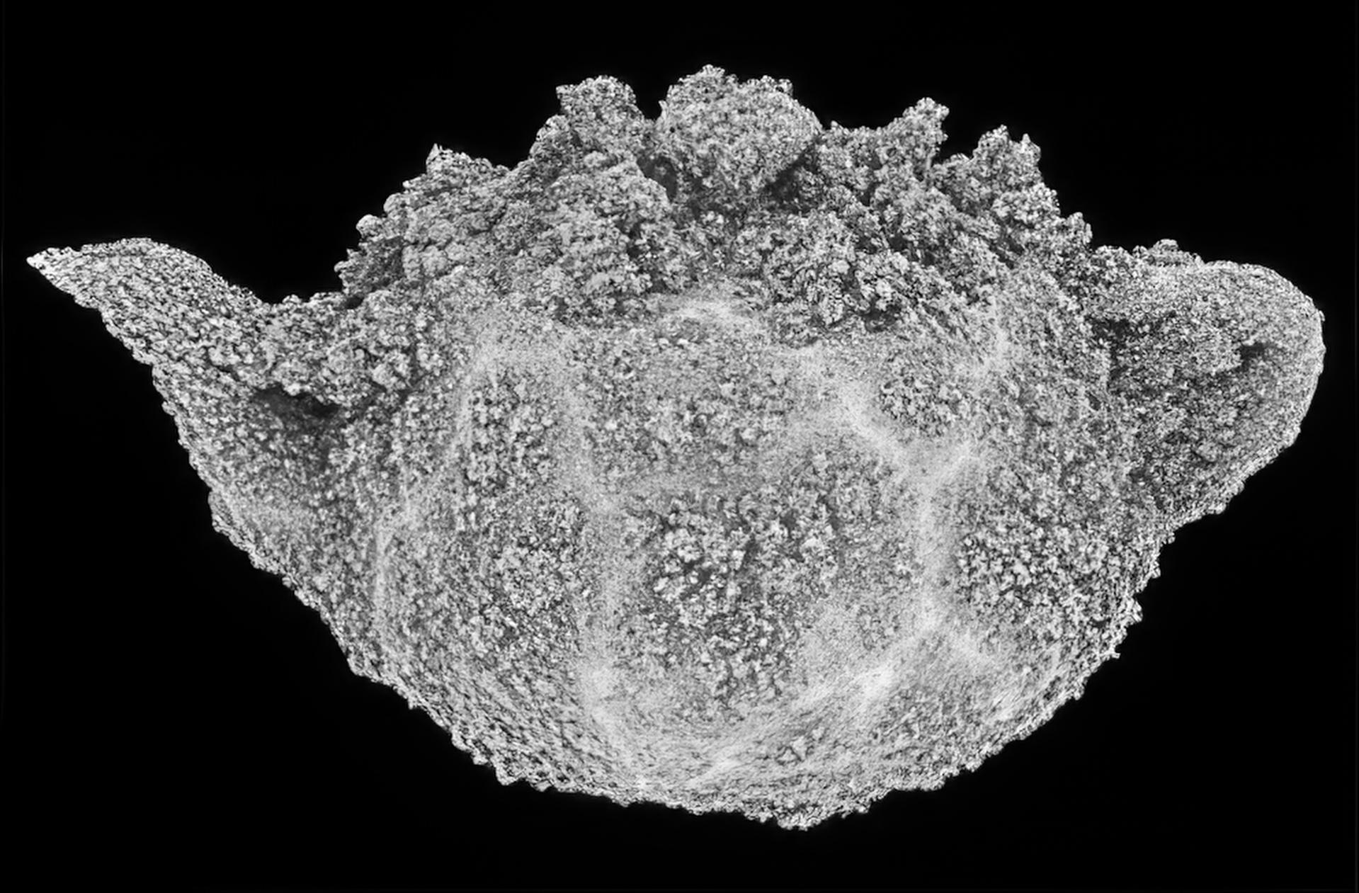 2006 Teapot Exhibit_Lomas_Aggregated Teapot