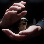 2025-Animation-Theater-Eckerlin_A Sparrow_s Song