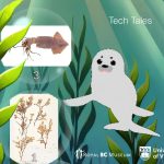 2025 Appy Hour_Jacoby_Tech Tales_Digital Storytelling with the Royal BC Museum