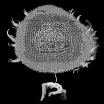 2025-Electronic-Theater-Roy_Corpus and the Wandering