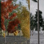 2025 Posters_Todd_Foliager