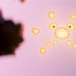 2025 Talks_Luo_Metaball Madness_Look Development For A Shapeshifting Implicit Surface Character On Pixars Elio