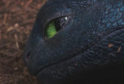 2025 Talks_Sooi_Highly Accurate GPU-Accelerated Animation Rigs for Toothless