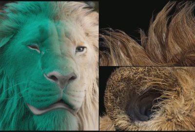 2025 Talks_Traynar_Advancements in Non-Procedural Groom Workflows for Mufasa_The Lion King